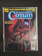 Savage sword conan for sale  Greenville