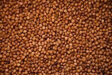 Sorghum sudan grass for sale  Coopersville