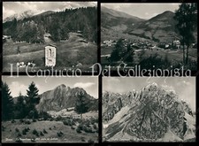 Borno valcamonica salven usato  Cremona