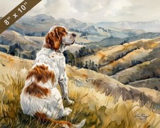 Grand basset griffon usato  Spedire a Italy