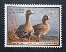 2011 federal duck for sale  Grand Rapids