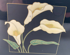 japan lily calla otagiri for sale japan lily calla otagiri for sale Petaluma