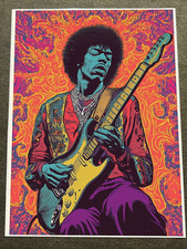 Vibrant portrait jimi for sale  House Springs