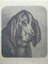 Grande gravure ancienne d'occasion  Douarnenez