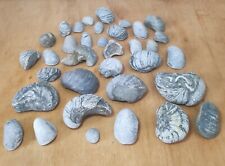 1.3kg triassic jurassic for sale  HORNSEA