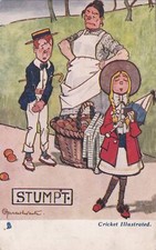 Cricket illustrated stumpt for sale  WISBECH