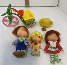 Vintage strawberry shortcake for sale  Cedar Rapids