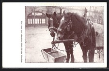 Ansichtskarte angeschirrte kut gebraucht kaufen Ansichtskarte angeschirrte kut gebraucht kaufen  Berlin