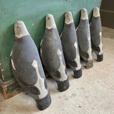 Vintage wood pigeon for sale  LISKEARD