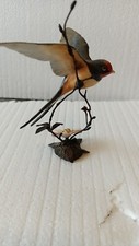 Royal worcester bird for sale  Columbia City