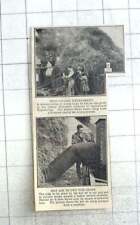 1924 crop drying for sale  BISHOP AUCKLAND