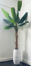 Artificial banana tree for sale  BARKING