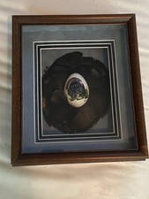 Turkey feathers egg for sale  Boonville