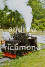 Teifi valley challoner for sale Teifi valley challoner for sale  ABERYSTWYTH