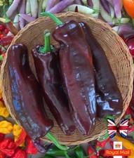 Sweet pepper seeds for sale  CHIGWELL