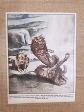 Retrocopertina illustrazione d usato  Villarosa