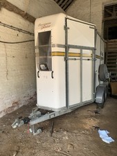 Bateson boston horse for sale  SPILSBY