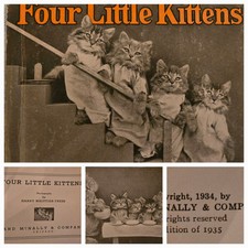 Four little kittens for sale  Minneapolis