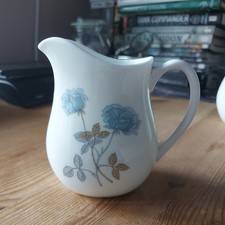 Vintage wedgewood ice for sale  WESTON-SUPER-MARE