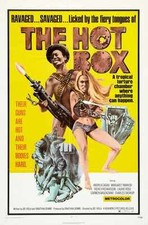 Hot box poster for sale  UK