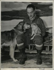 1940 press photo for sale  Memphis