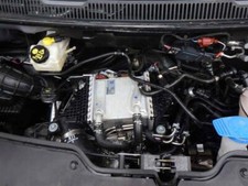 2019 2024 t6.1 for sale  NEWBRIDGE