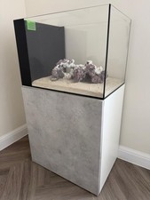 Saltwater aquarium peninsula for sale  UK
