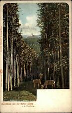 1900 thüringen litho gebraucht kaufen  Wöllstein