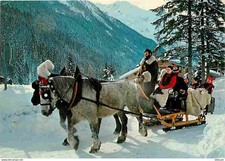 Animaux chevaux promenade d'occasion  Fruges