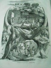 Gravure 1865 elephant d'occasion  La Verpillière