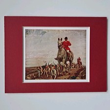 Western foxhounds cornwall for sale  THIRSK