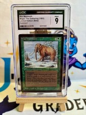 mammoth usato mammoth usato Lucca