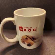 Dog yorkie chocolate for sale  Coeur D Alene