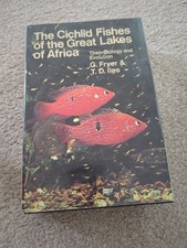 Cichlid fishes great for sale  TOTNES