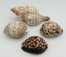 Small collection vintage for sale Small collection vintage for sale  FALKIRK