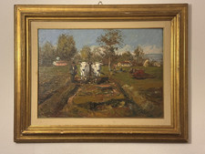 Rontini ferruccio paesaggio usato  Varallo