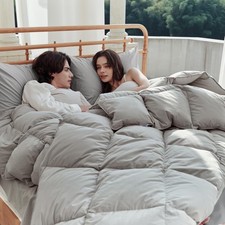 Airluck feather comforter for sale  Haltom City