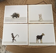 animal prints for sale animal prints for sale Columbus