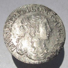Tassarolo livia centurioni usato  Spinete
