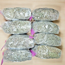 Live spanish moss for sale  Hastings