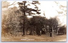 Kenley common surrey for sale  MANSFIELD