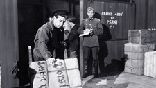 Alan ladd dvd for sale  BEXHILL-ON-SEA