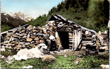 Pyrenees cabane berger d'occasion  France