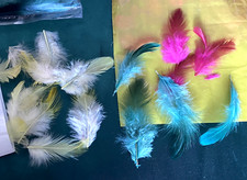 Multi coloured feathers for sale  BOURNEMOUTH