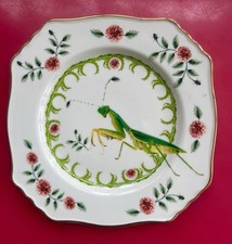 Lou rota nature for sale  Palm Springs