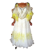 Tanzturnierkleid standard ball gebraucht kaufen  Freilassing