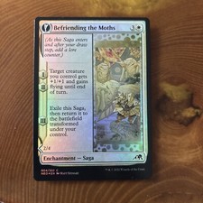 Befriending the moths gebraucht kaufen  Markt Erlbach