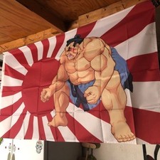 Bandeira Honda Street Fighter II Turbo 5 pés E comprar usado  Enviando para Brazil