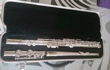 Sky usa flute for sale  LONDON