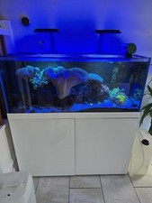 Marine aquarium 335 for sale  REDDITCH